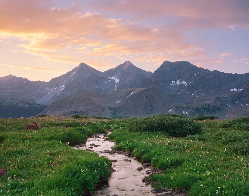 糖心 - 自然科学纪录片影像